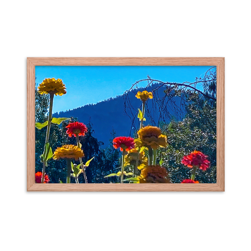 Nature Photographic Art Poster - Zinnias+Mountain - with Frame