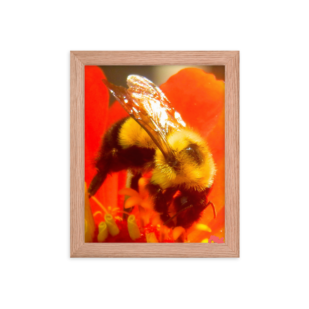 Nature Photographic Art Poster - Bee on Red Flower - with Frame