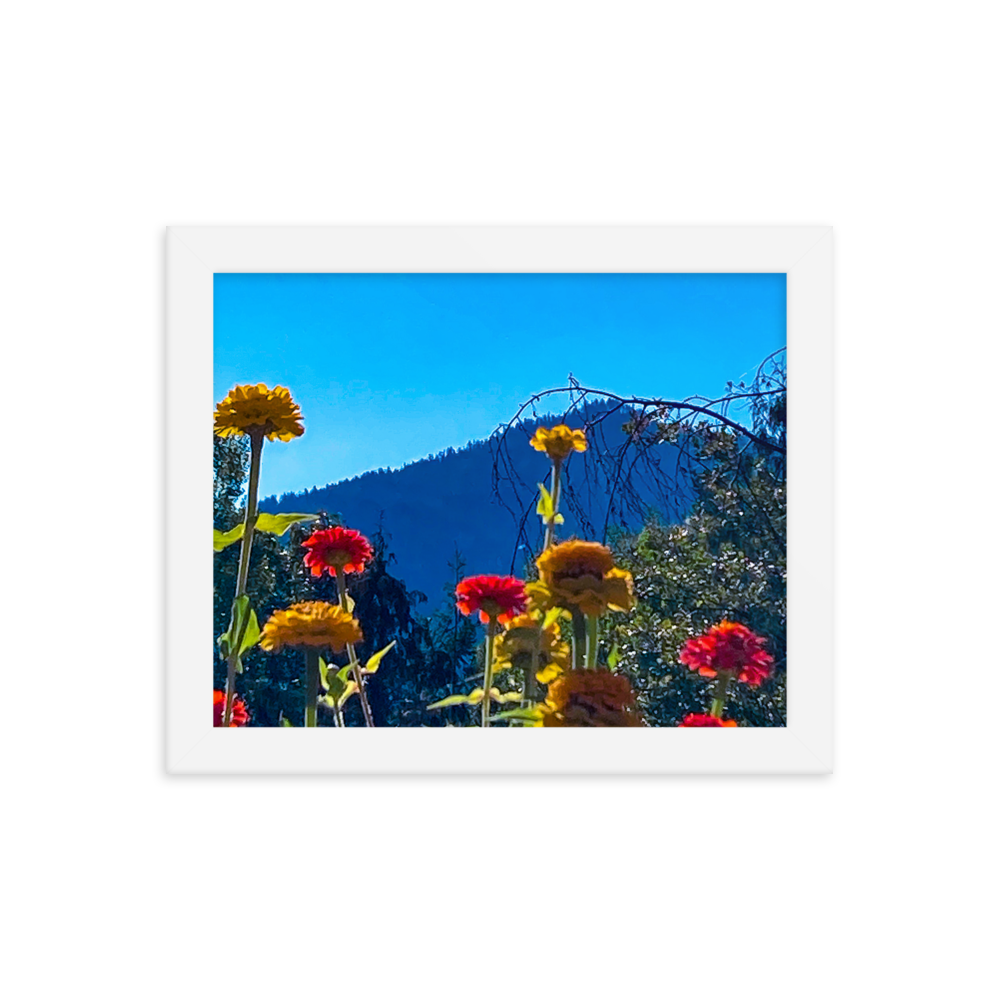 Nature Photographic Art Poster - Zinnias+Mountain - with Frame