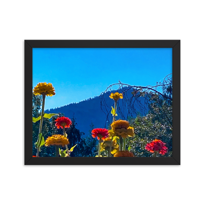 Nature Photographic Art Poster - Zinnias+Mountain - with Frame