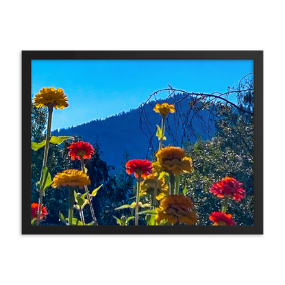 Nature Photographic Art Poster - Zinnias+Mountain - with Frame