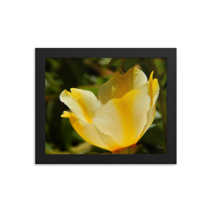 Nature Photographic Art Poster - Yellow Calibrachoa - with Frame