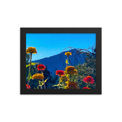 Nature Photographic Art Poster - Zinnias+Mountain - with Frame