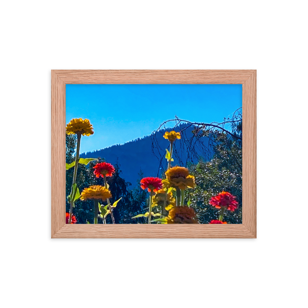 Nature Photographic Art Poster - Zinnias+Mountain - with Frame