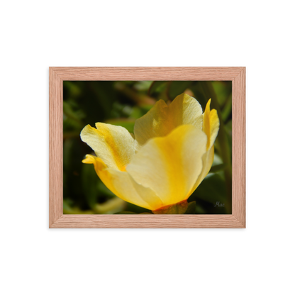 Nature Photographic Art Poster - Yellow Calibrachoa - with Frame