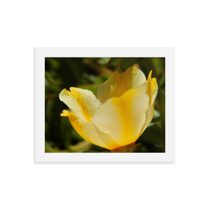 Nature Photographic Art Poster - Yellow Calibrachoa - with Frame