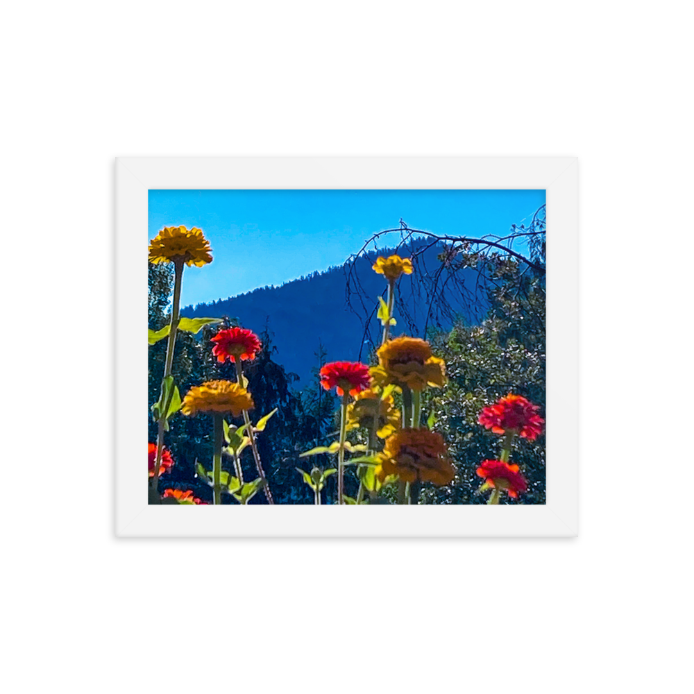 Nature Photographic Art Poster - Zinnias+Mountain - with Frame