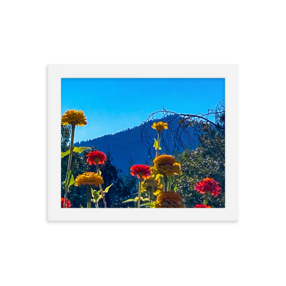 Nature Photographic Art Poster - Zinnias+Mountain - with Frame